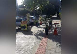 Vasos de planta obstruindo passagem com piso tátil (Foto: Direto das Ruas)
