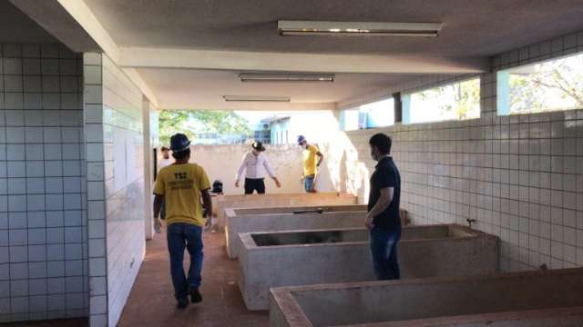 Primeiros mosquitos da dengue com bact&eacute;ria do bem devem ser soltos em setembro