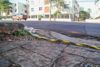 Sinais que Rua Joaquim Murtinho foi palco de um crime permanecem horas depois (Foto: Marcos Maluf)