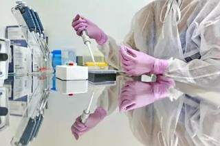 Teste para identificar coronavírus (Foto: Ministério da Saúde)