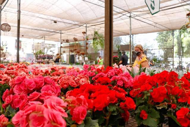 Dia dos Namorados n&atilde;o decepciona propriet&aacute;rios de floriculturas de Campo Grande