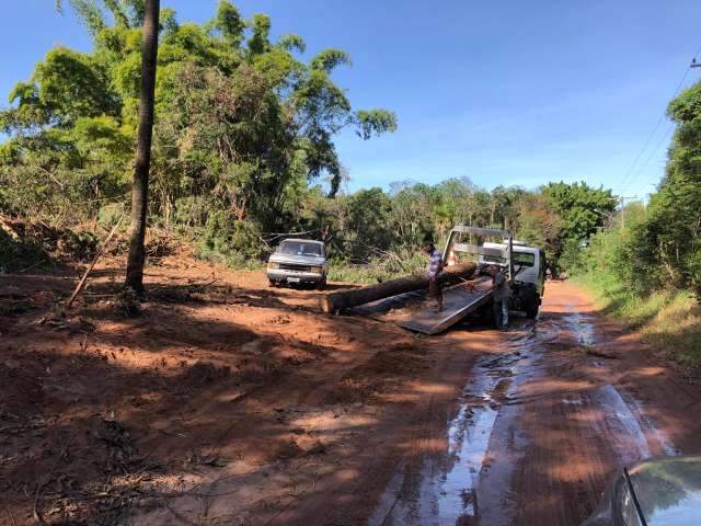 Desmatamento de lotes em &aacute;rea de preserva&ccedil;&atilde;o preocupa vizinhos