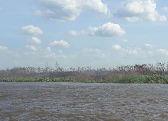 Dupla foge ao ser flagrada colocando fogo em mata no Pantanal