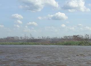 Dupla foge ao ser flagrada colocando fogo em mata no Pantanal Dupla foge ao ser flagrada colocando fogo em mata no Pantanal