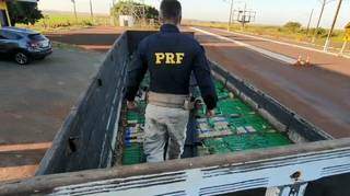 Pesagem de maconha encontrada embaixo de aveia totaliza 773 kg
