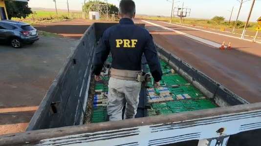 Pesagem de maconha encontrada embaixo de aveia totaliza 773 kg