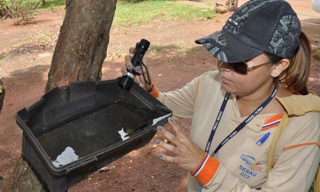 MS n&atilde;o tem novas mortes por dengue, mas se mant&eacute;m como 2&ordm; em incid&ecirc;ncia no Pa&iacute;s