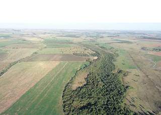 Fazendeiro &eacute; multado em R$ 412 mil por desmatar 74 hectares de Mata Atl&acirc;ntica 