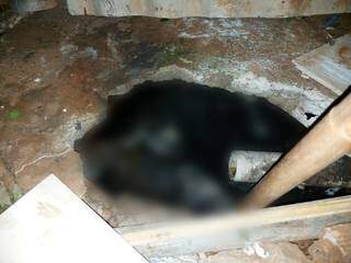 Corpo encontrado em fossa segue sem identifica&ccedil;&atilde;o no Imol