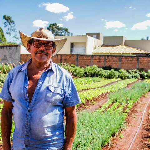 Transplante de rim incentivou seu Ari a cultivar hortas em terrenos baldios