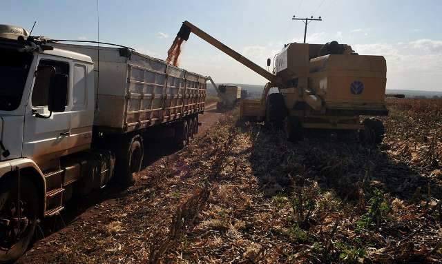 Colheita na pandemia n&atilde;o tem mais fila de caminh&otilde;es, nem roda de terer&eacute;