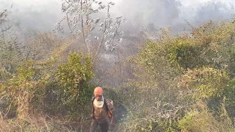 Em menos de 7h, Região do Pantanal registra quatro incêndios
