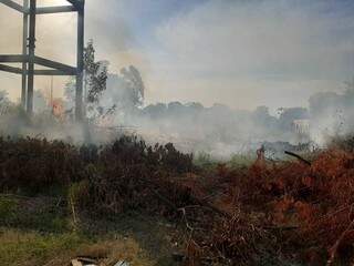 Incêndio em terreno próximo à ferrovia na Rua Oriental (Foto: Divulgação/Corpo de Bombeiros)