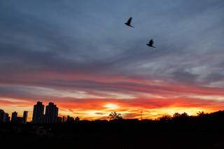 Amanhecer com céu colorido visto do Bairro Itanhanguá (Foto: Henrique Kawaminami)