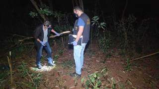 Crian&ccedil;a sobe em &aacute;rvore para pegar papagaio, cai de 9 m de altura e morre