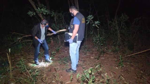 Crian&ccedil;a sobe em &aacute;rvore para pegar papagaio, cai de 9 m de altura e morre
