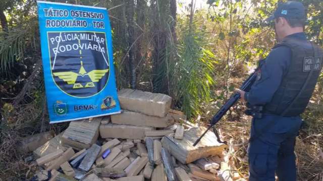 Pol&iacute;cia encontra mais de uma tonelada de maconha em matagal 