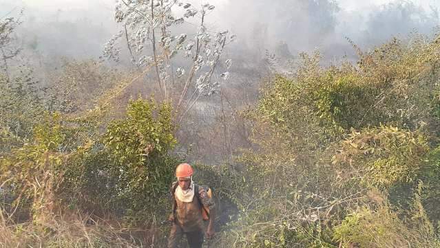 Em menos de 7h, Regi&atilde;o do Pantanal registra quatro inc&ecirc;ndios
