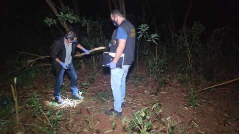 Crian&ccedil;a sobe em &aacute;rvore para pegar papagaio, cai de 9 m de altura e morre