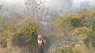 Bombeiro durante combate a incêndio em nas proximidades de Estrada da Codraza, em Corumbá (Foto: Divulgação/Corpo de Bombeiros)