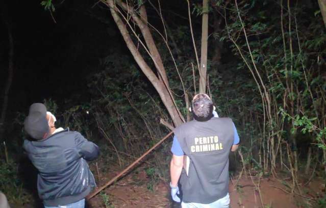 Crian&ccedil;a tentava resgatar papagaio de estima&ccedil;&atilde;o quando caiu de &aacute;rvore
