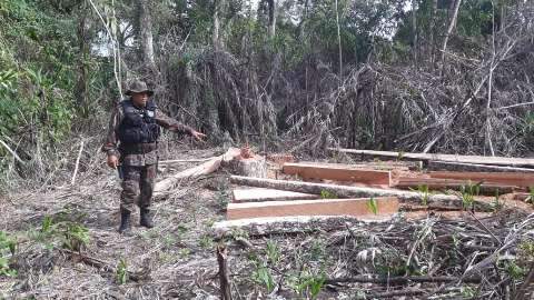 Fazendeiro &eacute; multado por desmatamento no Pantanal para fazer cerca e porteira