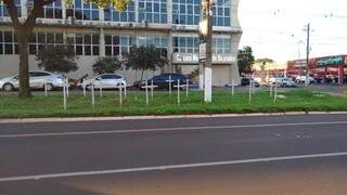 Cruzes brancas instaladas em frente à Câmara de Dourados (Foto: Divulgação)