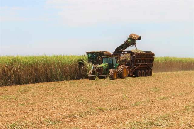 Com 12,4 milh&otilde;es de toneladas, safra da cana-de-a&ccedil;&uacute;car tem in&iacute;cio mais lento