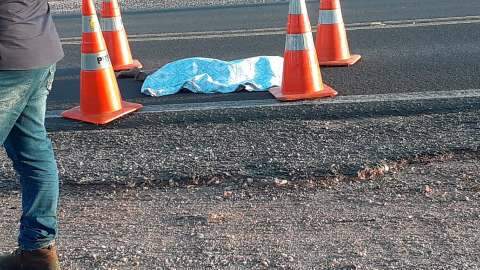 Criança de 7 anos tenta atravessar rodovia e morre atropelada 
