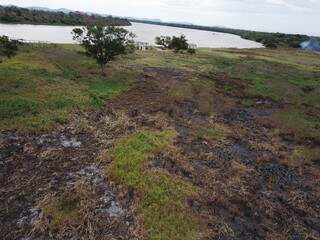 Área de aproximadamente 3 hectares, nas margens do Rio Paraguai, foi afetada pelo fogo (Foto: Divulgação/PMA)
