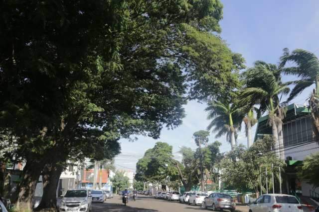 Rajadas de ventos atingem 58 km por hora em Campo Grande