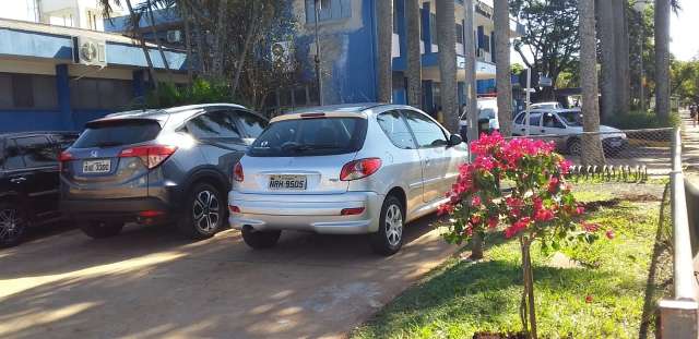 Muda de azaleia em frente a hospital homenageia m&eacute;dico morto pela covid