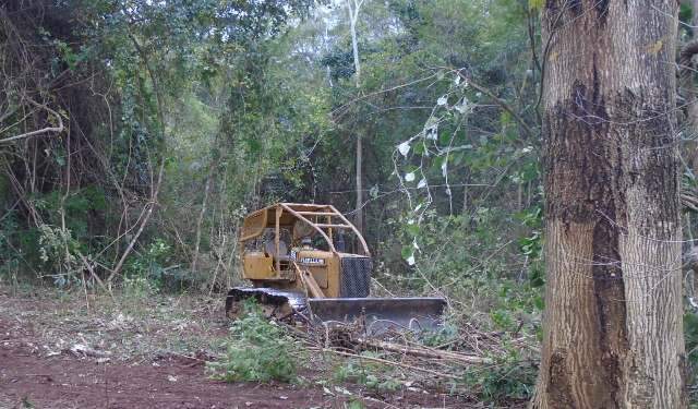 Trator de esteira era utilizado por fazendeiro para desmatar Cerrado