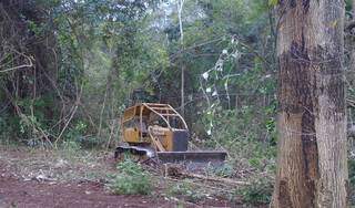 Trator de esteira era utilizado para realizar desmatamento ilegal (Foto: Divulgação/PMA)