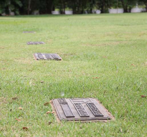 Campo Grande encerra semana com 20 mortes por covid, 12 nos últimos 7 dias