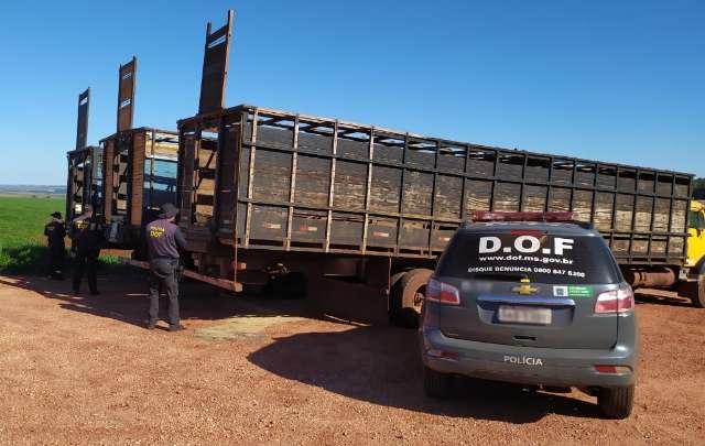 Caminh&otilde;es s&atilde;o apreendidos com quase 4 toneladas de maconha