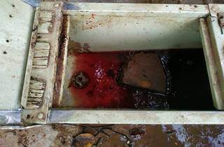 Pia estava suja de sangue do jacaré abatido (Foto: Divulgação/PMA)