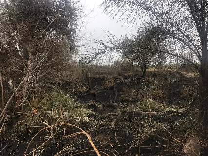 Defeito em trator de usina incendeia 102 hectares de lavoura de cana