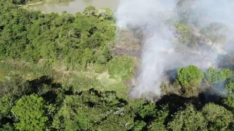Incêndio no Pantanal não dá trégua e área atingida passa de 10 mil hectares