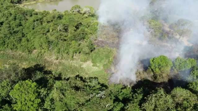 Inc&ecirc;ndio no Pantanal n&atilde;o d&aacute; tr&eacute;gua e &aacute;rea atingida passa de 10 mil hectares