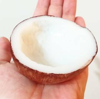 Sabonete natural de coco, em forma e cor de castanha de coco da Bahia. (Foto: Saboaria Criativa CG)