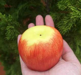 Sabonete com essência e formato de maçã. (Foto: Saboaria Criativa CG)