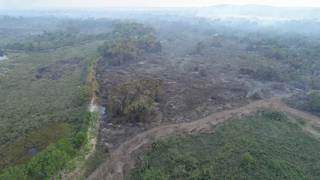 Fumaça e chão queimado depois que parte do fogo na área do Jatobazinho foi controlado (Foto: Divulgação)