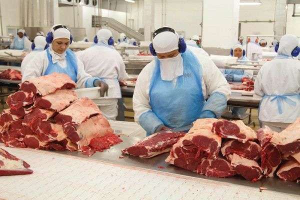 Ainda com China como cliente, frigor&iacute;ficos estimam queda de 20% na produ&ccedil;&atilde;o