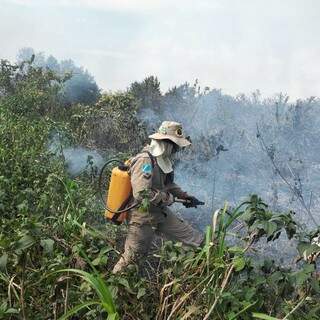 Militares durante combate à incêndio nas proximidades de Corumbá (Foto: Divulgação)