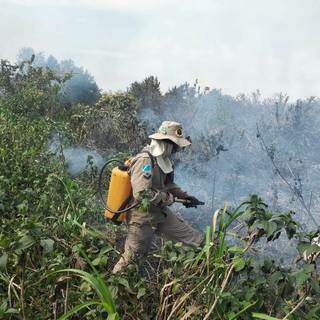 Militar do Corpo de Bombeiros atua para conter incêndio de 20 hectares próximo da cidade de Corumbá, na margem esquerda do Rio Paraguai (Foto: Divulgação)