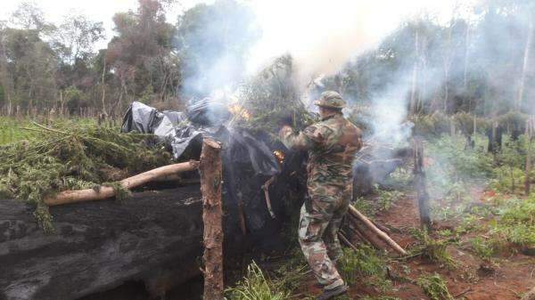 Pol&iacute;cia paraguaia encerra opera&ccedil;&atilde;o com 476 toneladas de maconha destru&iacute;das