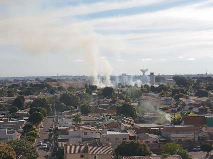 Briga por fios de cobre acaba em incêndio de vegetação na Vila Margarida