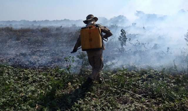 Inc&ecirc;ndios s&atilde;o controlados, mas bombeiros continuam em alerta no Pantanal 