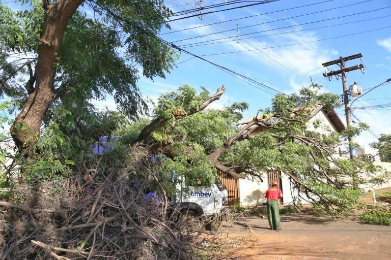 Campo Grande News